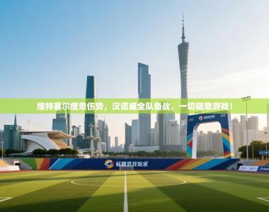 维特塞尔痊愈伤势，汉诺威全队备战，一切随意游戏！