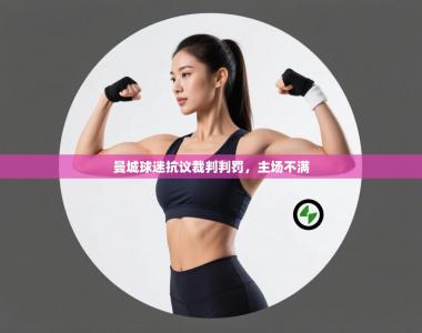 曼城球迷抗议裁判判罚，主场不满