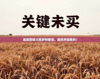 曼城四球大胜多特蒙德，赢得关键胜利！