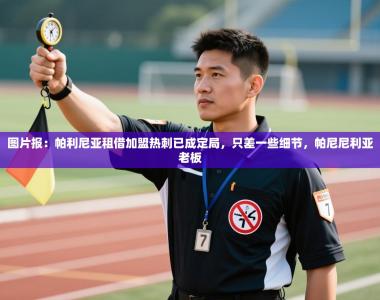 图片报：帕利尼亚租借加盟热刺已成定局，只差一些细节，帕尼尼利亚老板