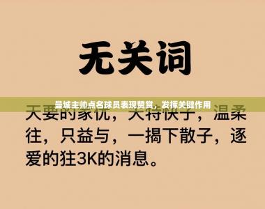 曼城主帅点名球员表现赞赏，发挥关键作用