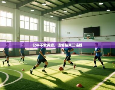 公牛不敌黄蜂，遗憾结束三连胜