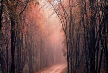 记者：纽卡告知莱比锡愿意支付超过6000万镑，在等谢什科答复，莱比锡是哪儿