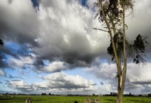 今年+2！清华大学男篮已经向CBA输送了15名球员，清华男篮cuba