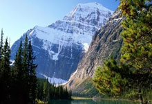 今年+2！清华大学男篮已经向CBA输送了15名球员，清华男篮cuba