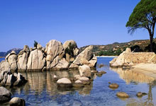 今年+2！清华大学男篮已经向CBA输送了15名球员，清华男篮cuba