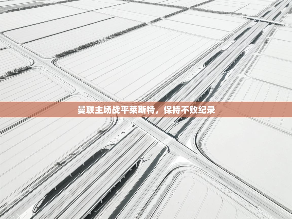 曼联主场战平莱斯特，保持不败纪录  第2张