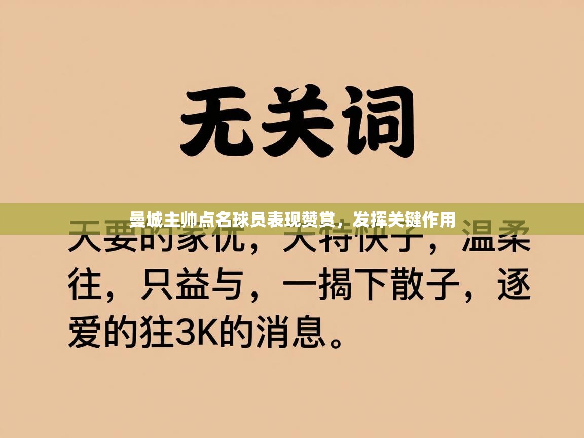 曼城主帅点名球员表现赞赏，发挥关键作用  第1张