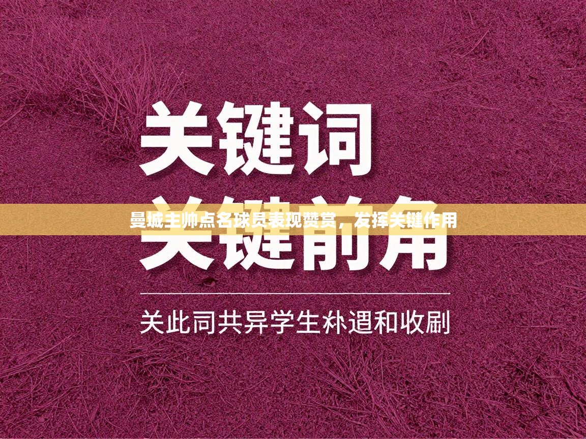 曼城主帅点名球员表现赞赏，发挥关键作用  第2张