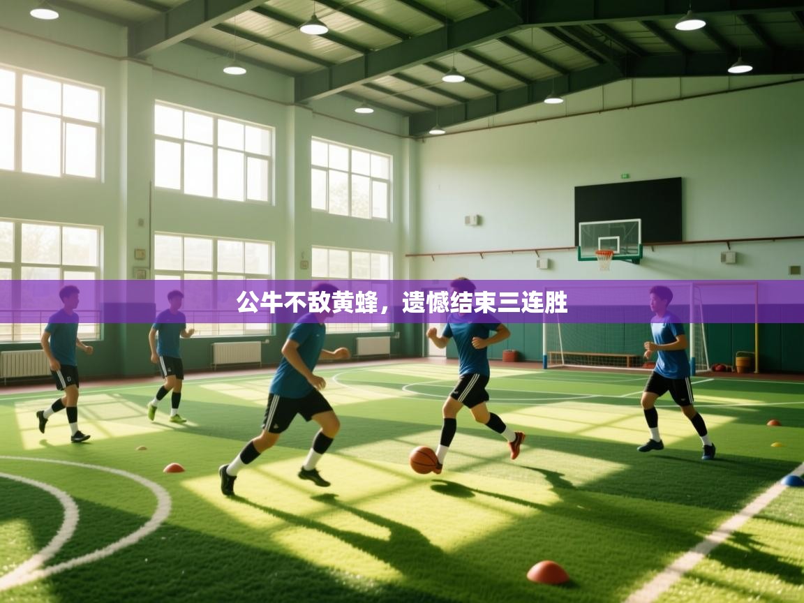 公牛不敌黄蜂，遗憾结束三连胜  第1张