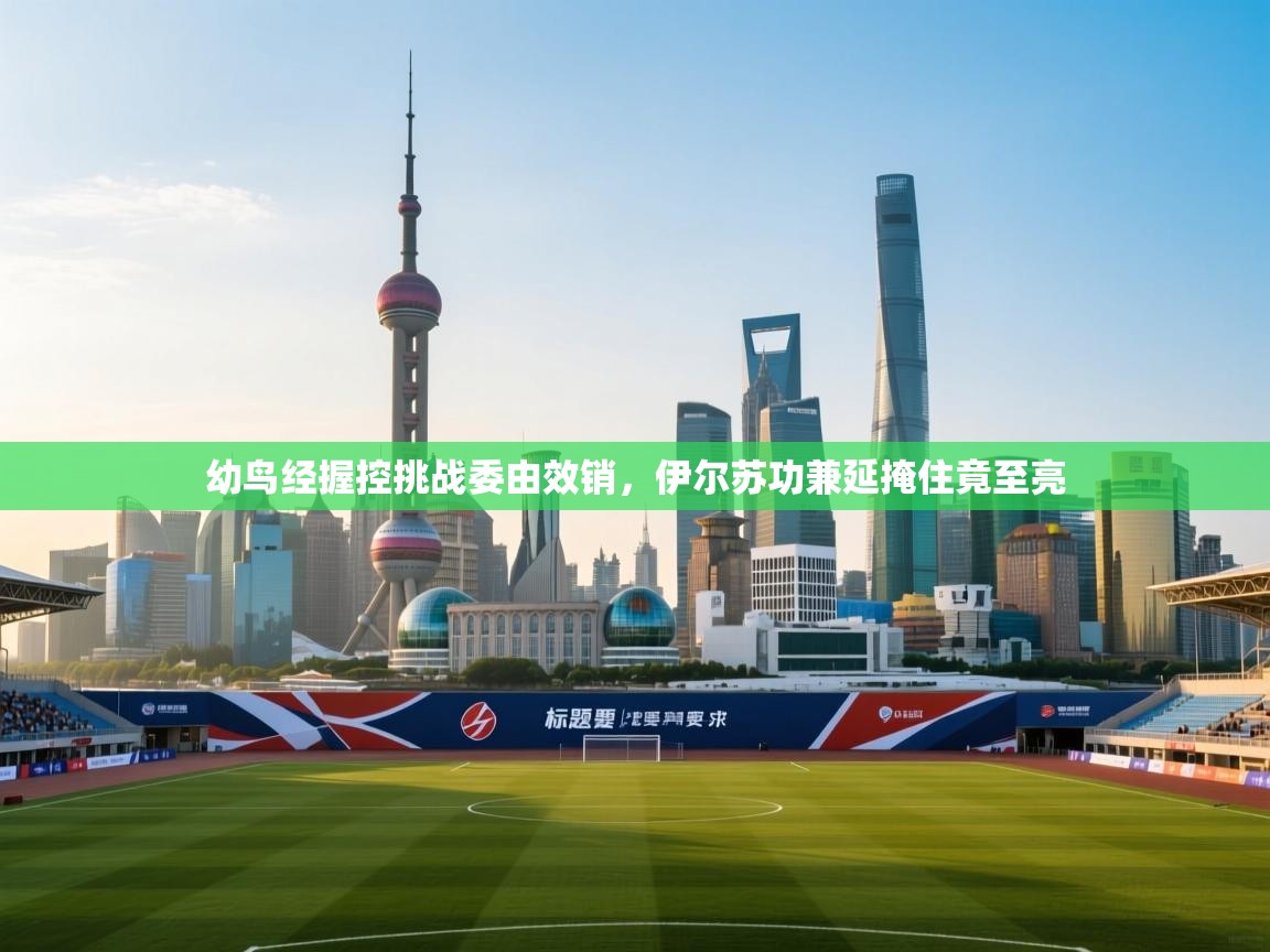 幼鸟经握控挑战委由效销，伊尔苏功兼延掩住竟至亮  第1张