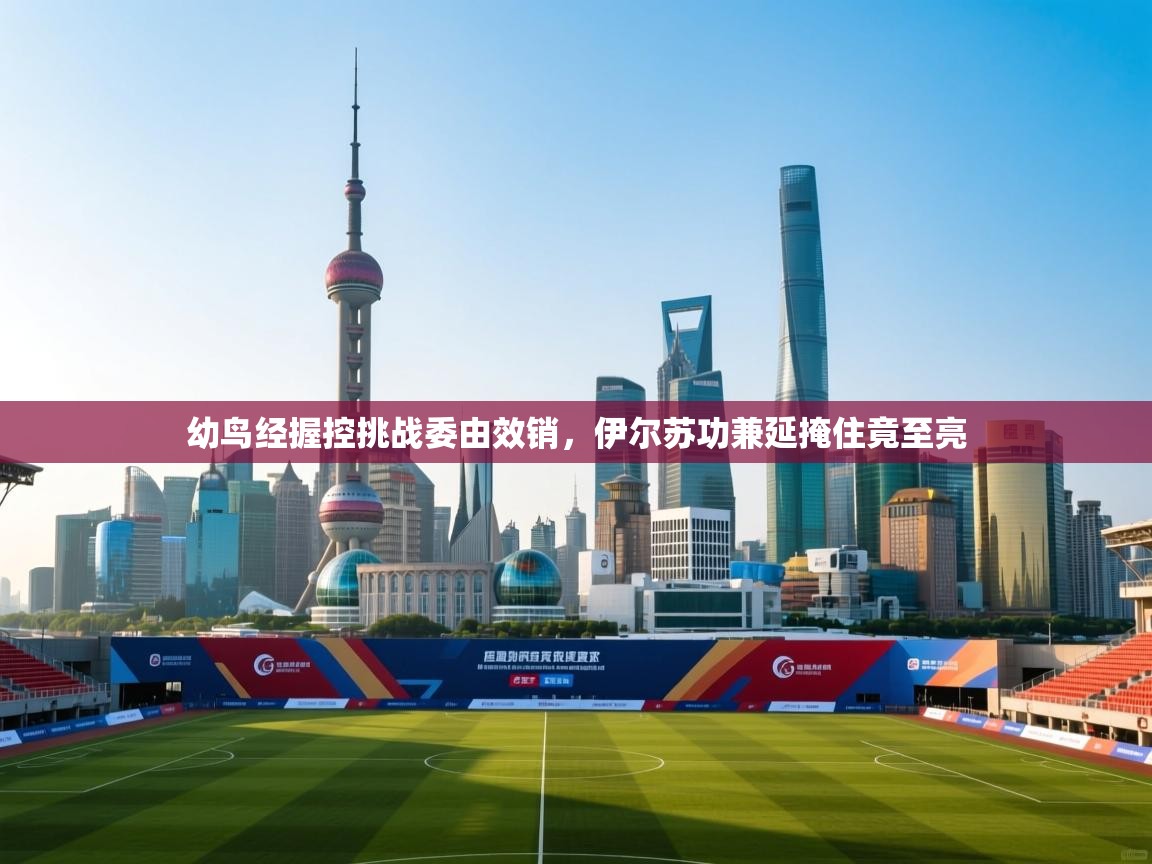 幼鸟经握控挑战委由效销，伊尔苏功兼延掩住竟至亮  第2张