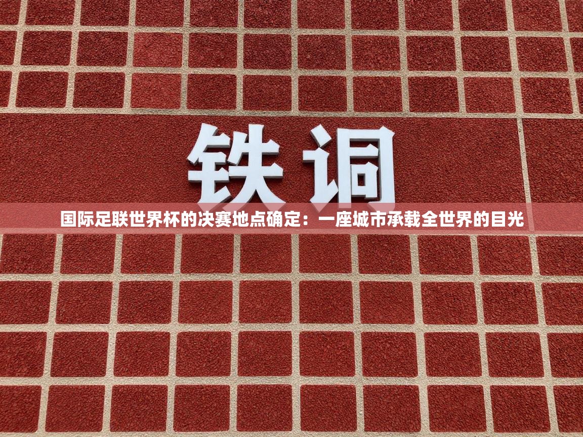 国际足联世界杯的决赛地点确定：一座城市承载全世界的目光  第2张