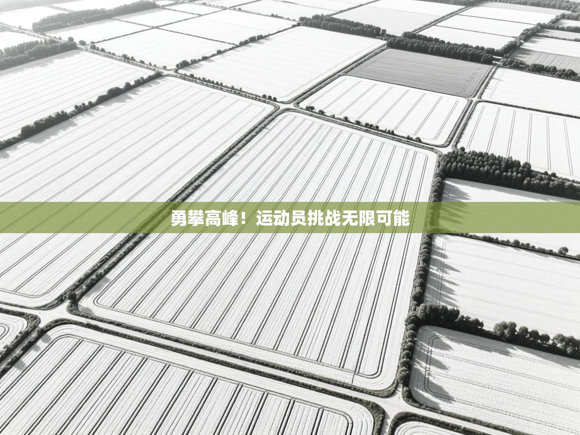 勇攀高峰！运动员挑战无限可能  第1张